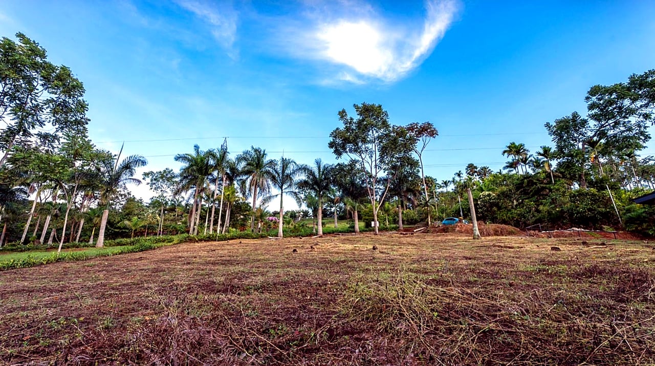 2,000 m² Lot for Sale – Rivas, Pérez Zeledón, Cost
