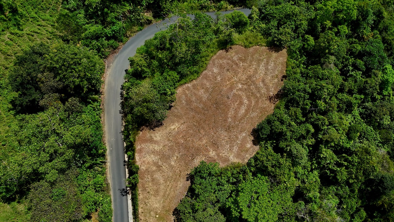  FIRE SALE! Two Adjacent Ocean-View Lots Sold Together – Chontales, Osa (10,487 m² + 9,844 m²)