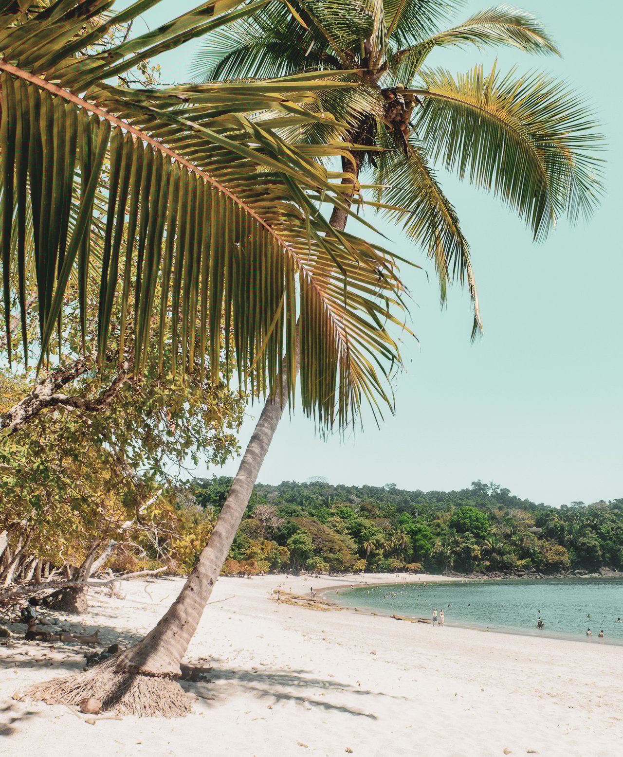 Manuel Antonio