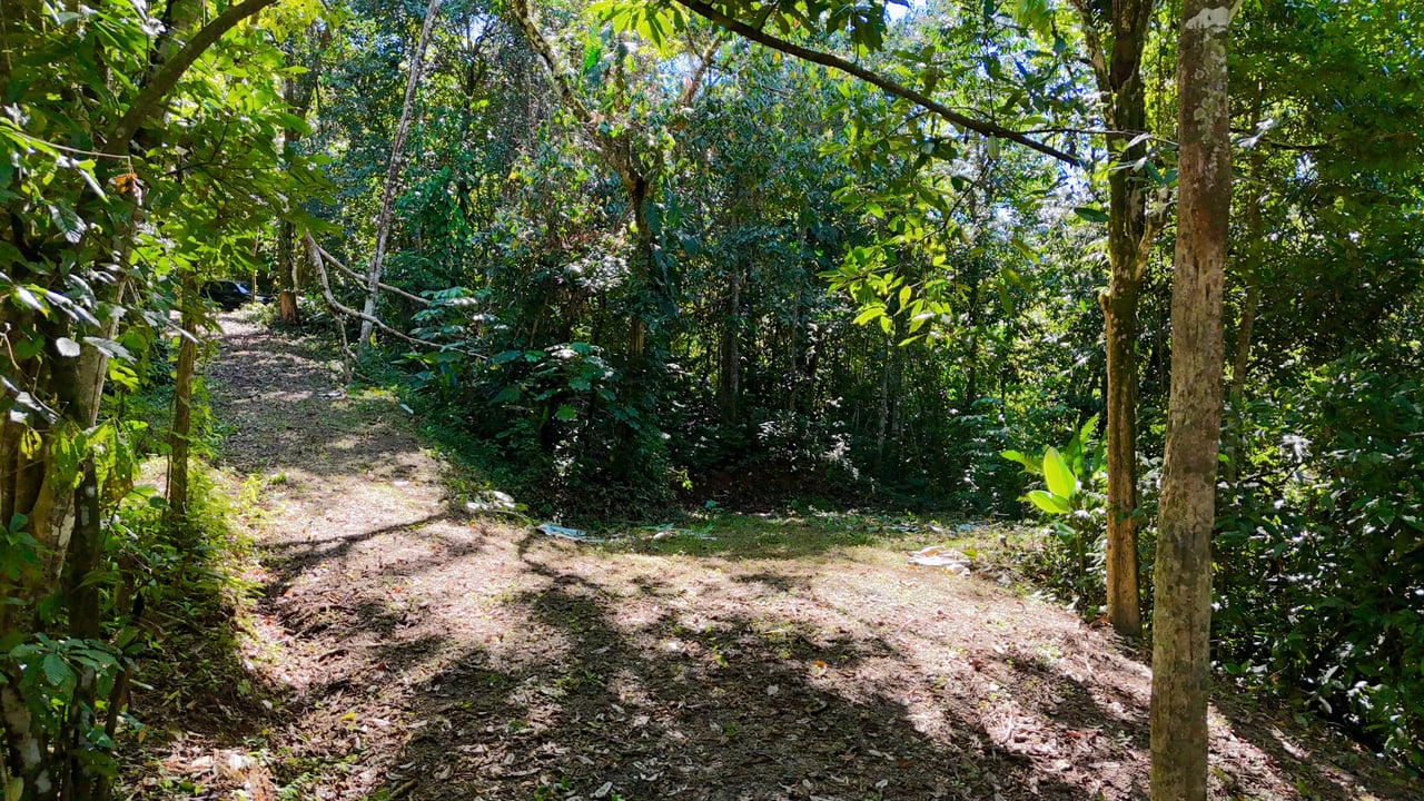 1.4-acre gated lot in Uvita.