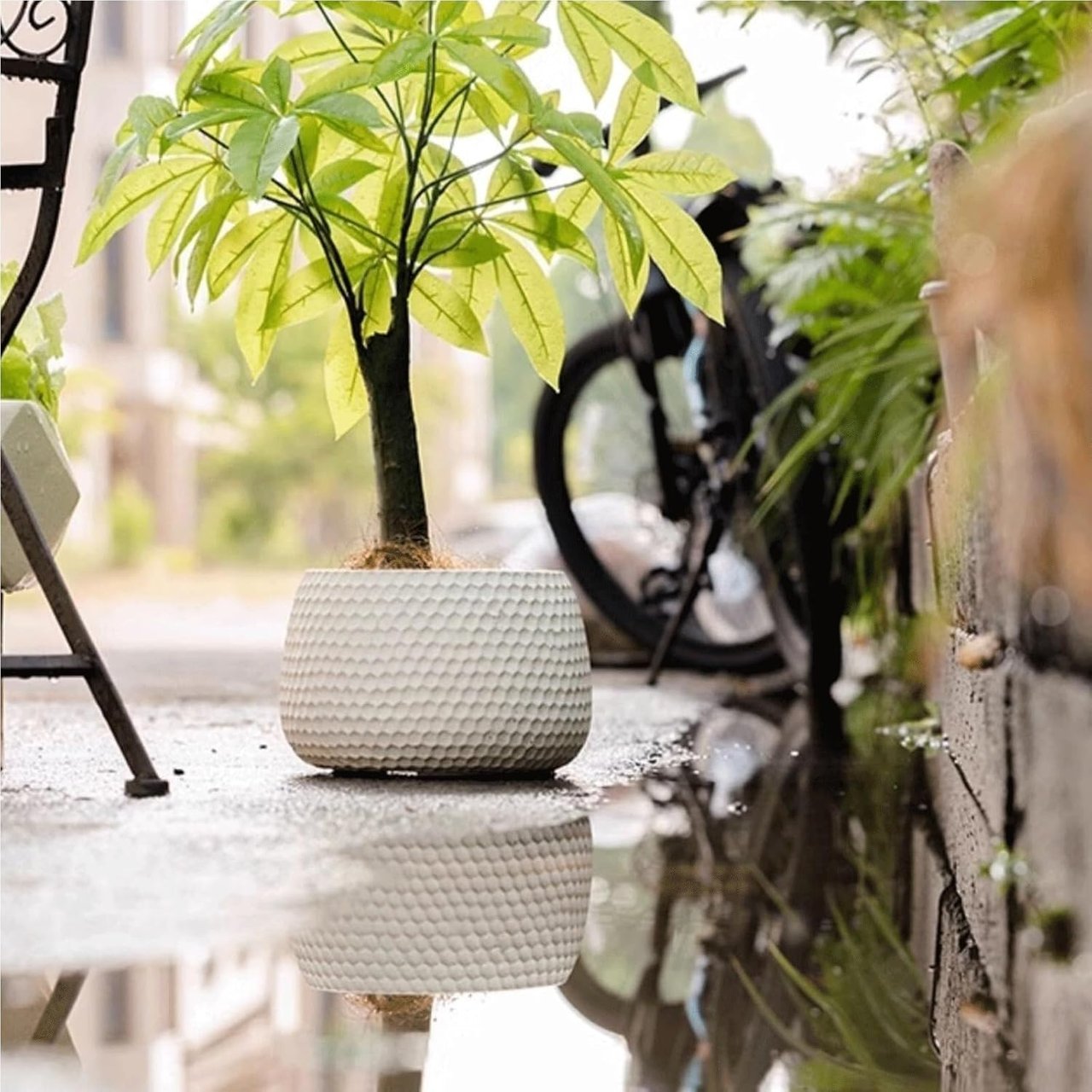 Vintage Plant Pot