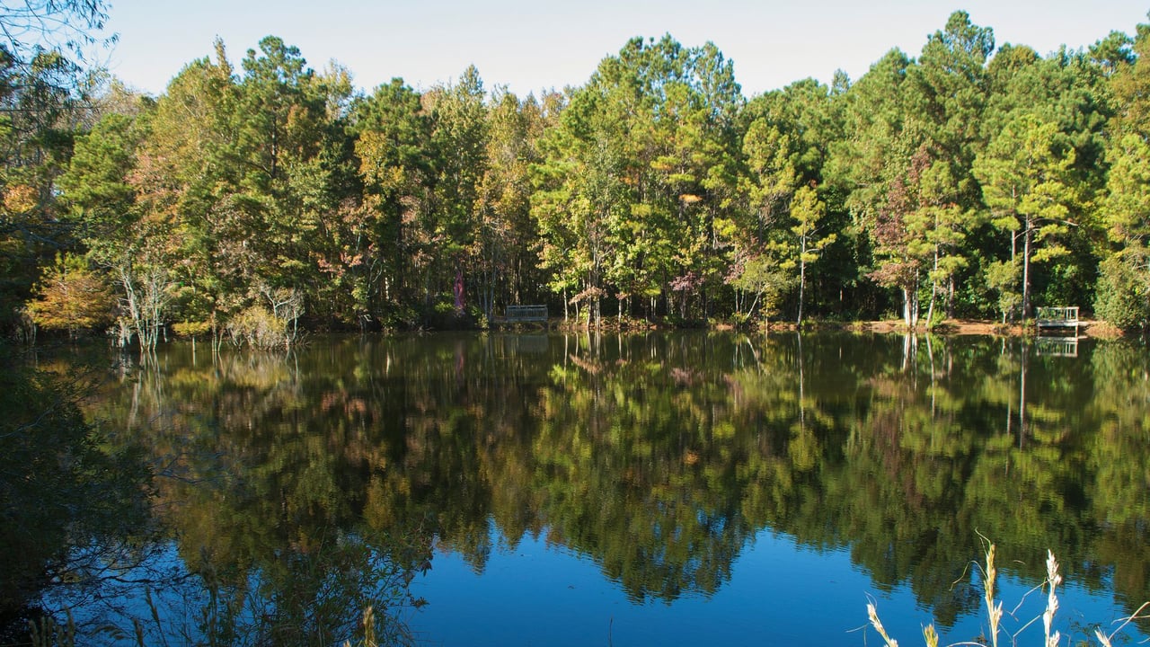 The Woodlands