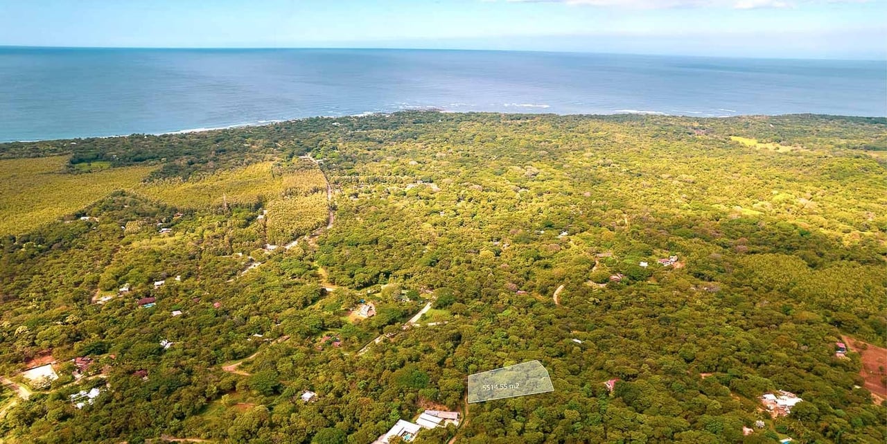 Caña Dulce | Home Modern & Conscious Living in Playa Negra