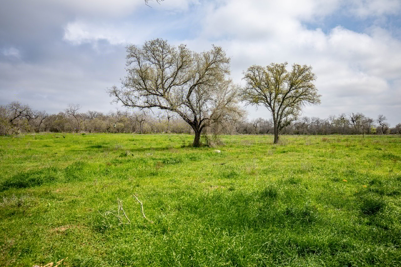 Dry Hollow Creek Ranch | 21.96± Acres | Bexar County