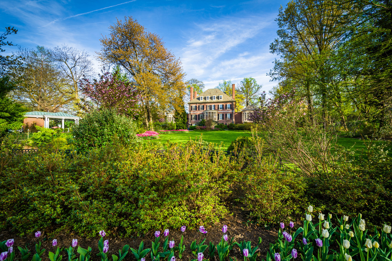 Roland Park