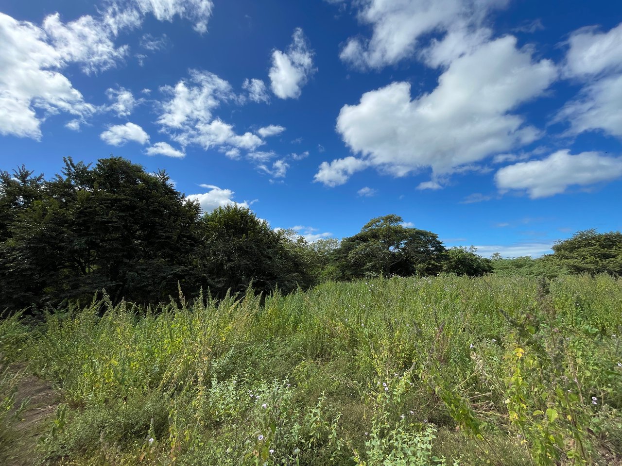 Private Jungle Estate Land in Vistas de Flamingo, Guanacaste, Costa Rica