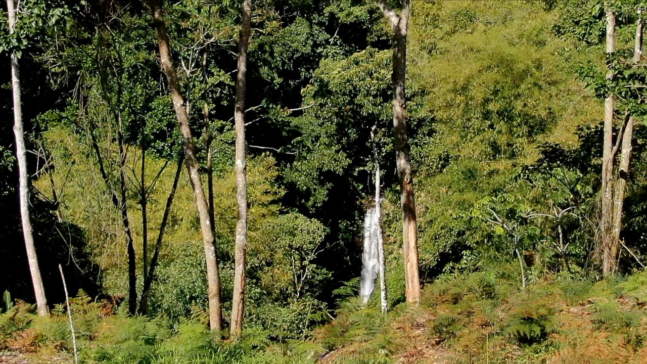13 lot Land Development Opportunity with new waterfall view home-near San Isidro