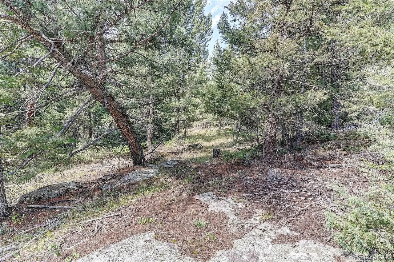 9335 Eagle Cliff Rd LOT 1