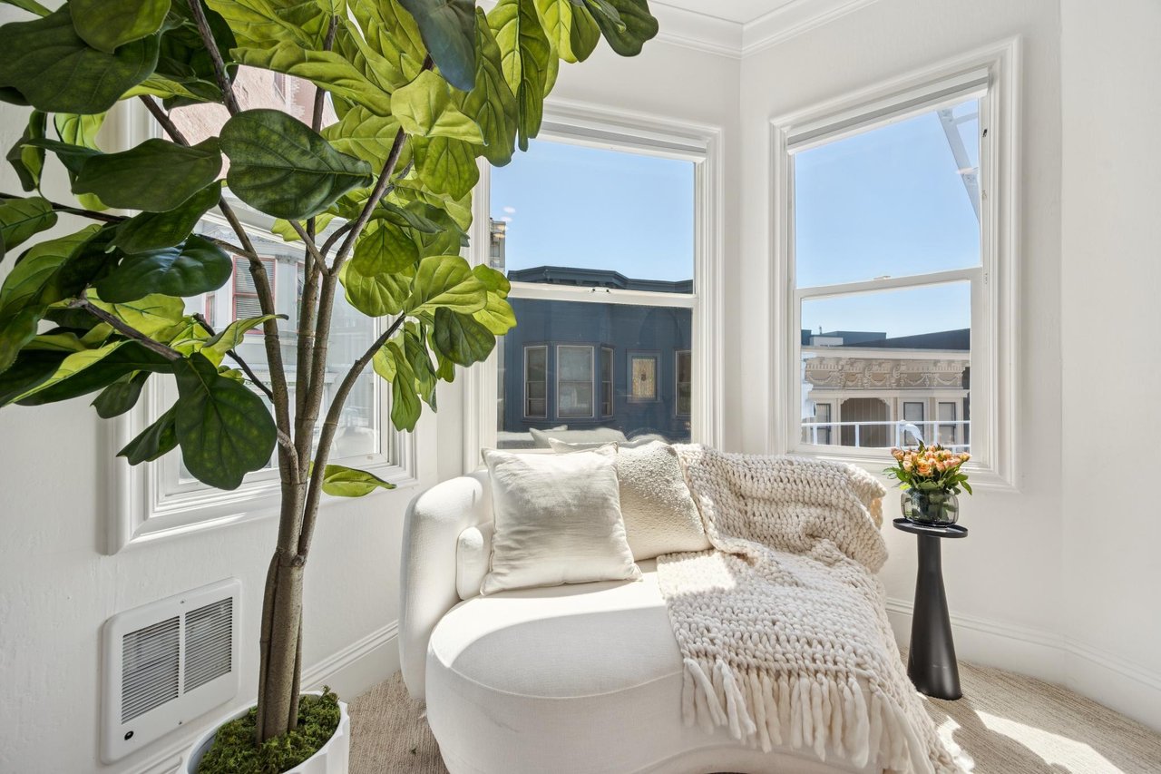 Bright sitting area with a curved white sofa, chunky knit throw, leafy tree, and tall city-facing windows.