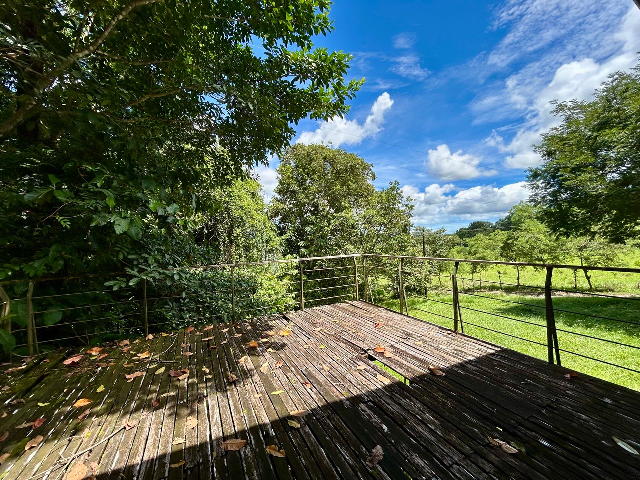 Fixer-Upper Home with an studio Office in Palmar Norte on a 4-Hectare Property