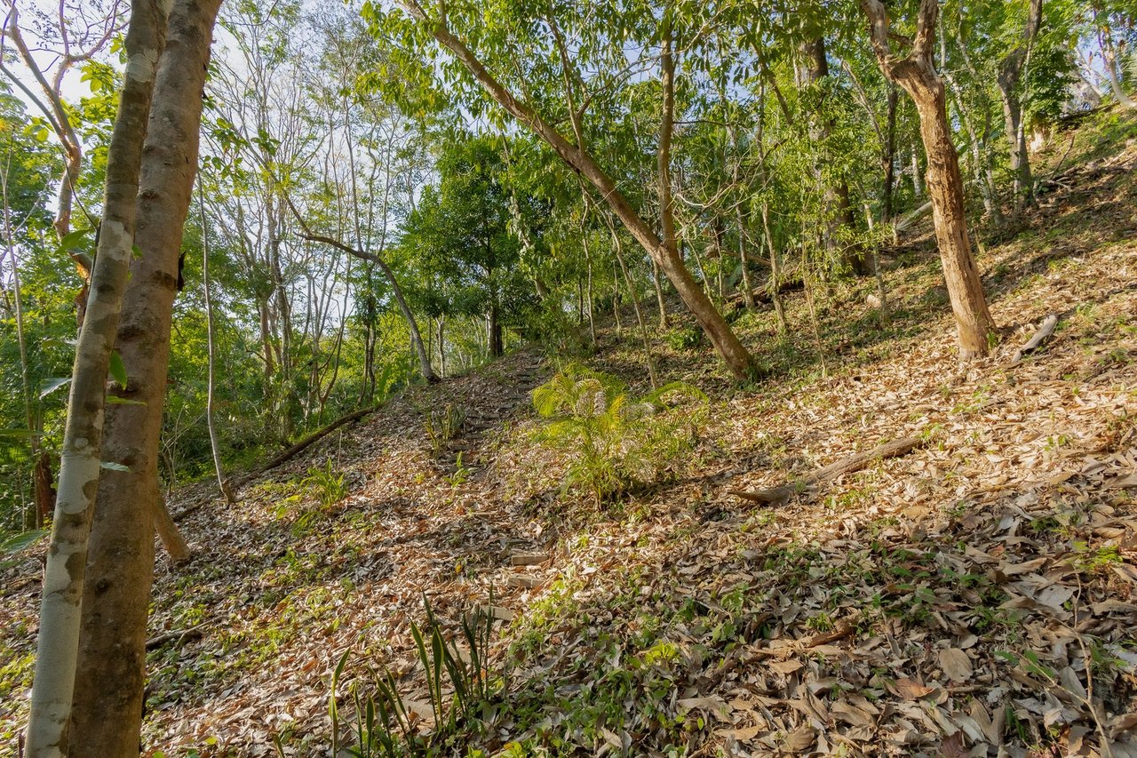Exclusive Ocean View Development Homesite, Santa Teresa, Puntarenas
