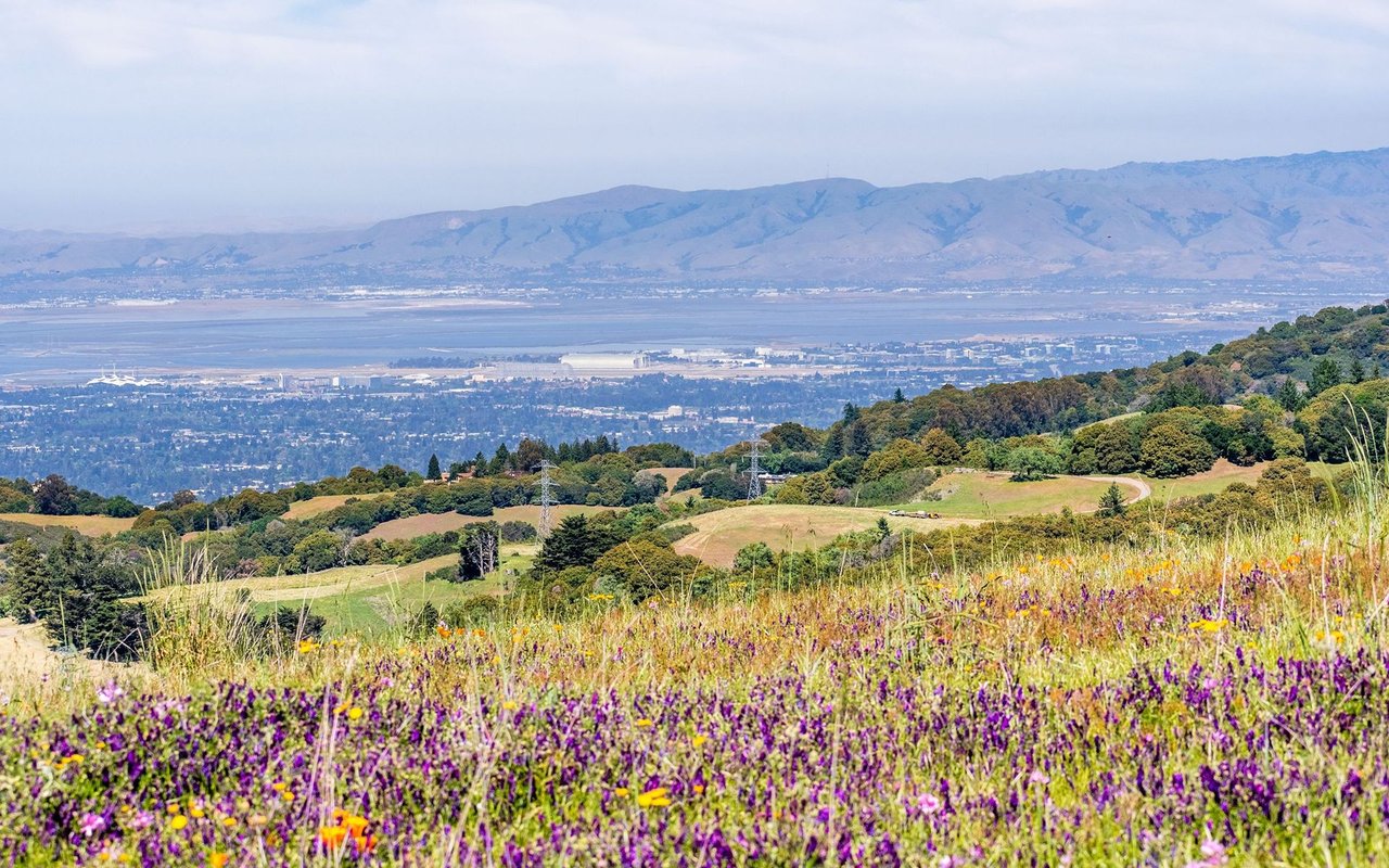 Sunnyvale