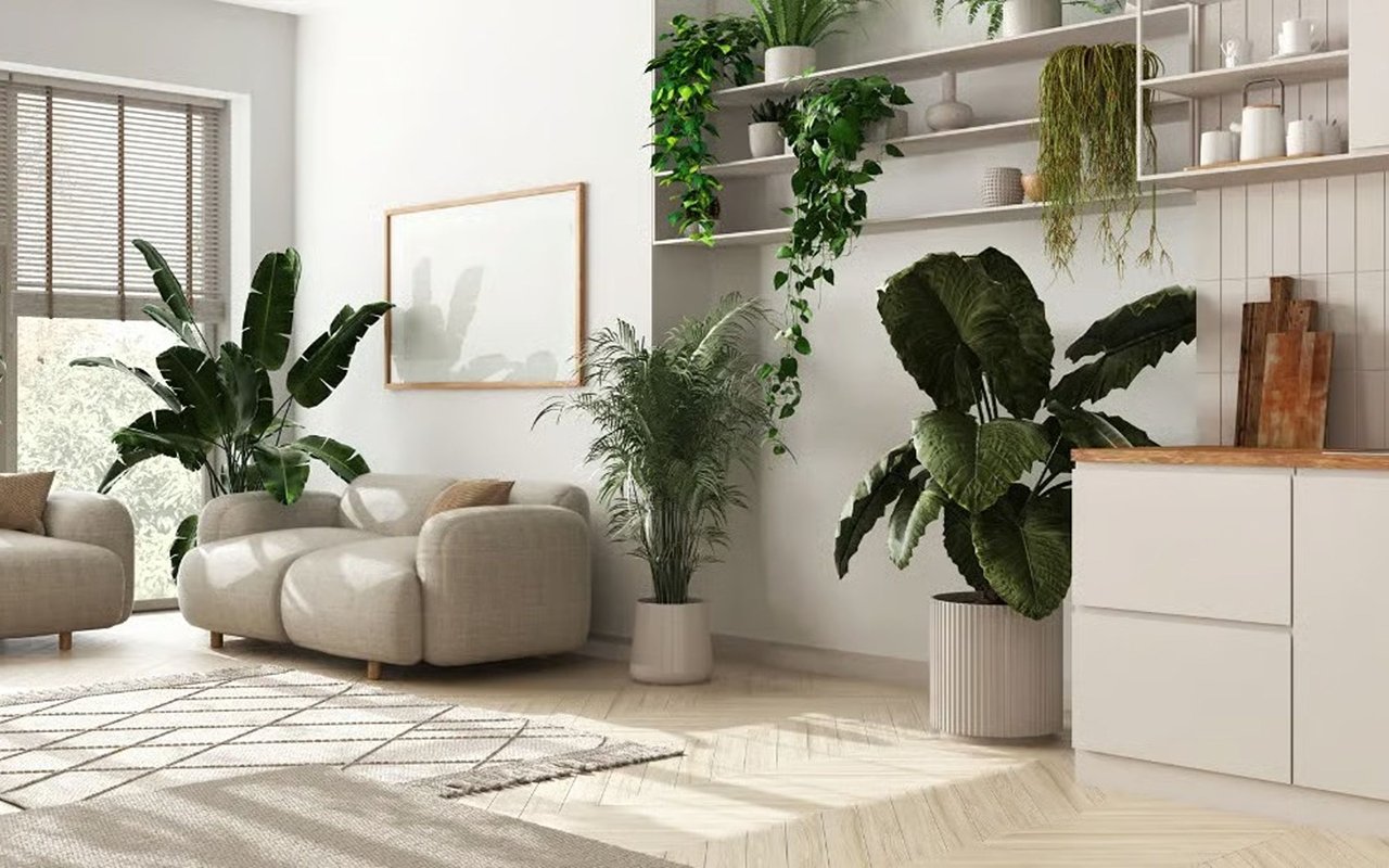 Biophilic Design: The Hottest New Trend in Home Decor