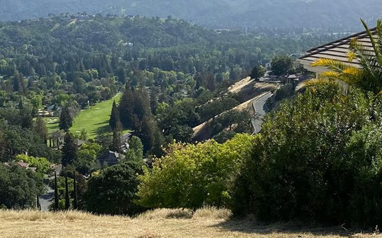 Alamo