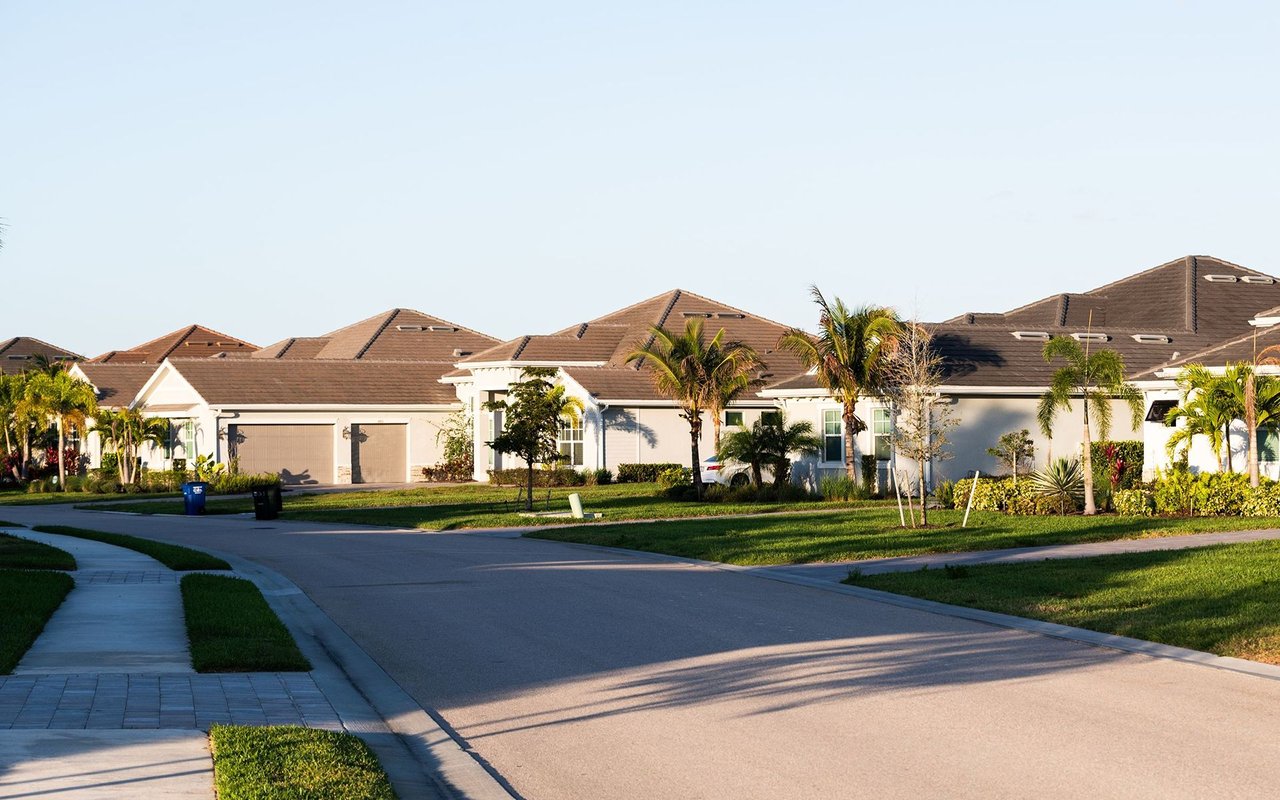 Tamarac