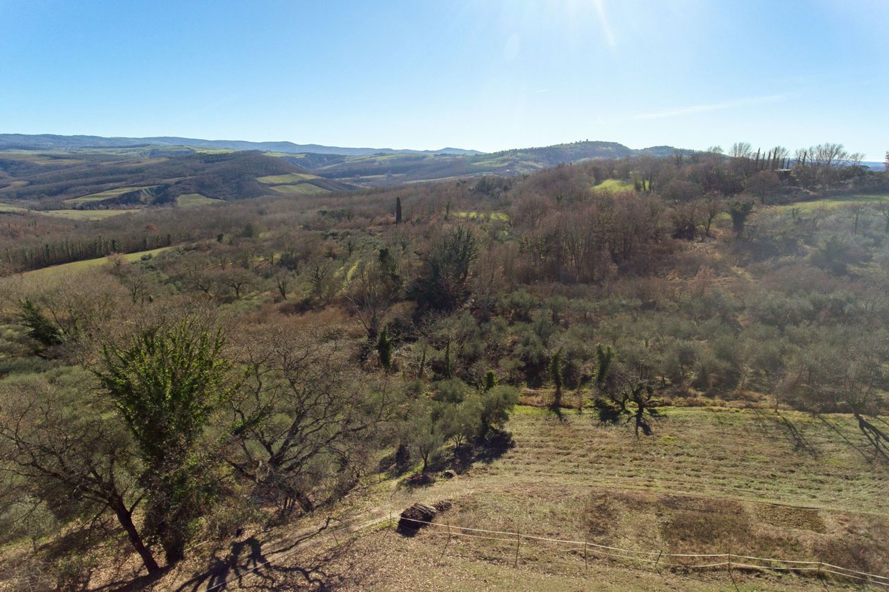 A Charming Stone Farmhouse for Sale in Radicofani
