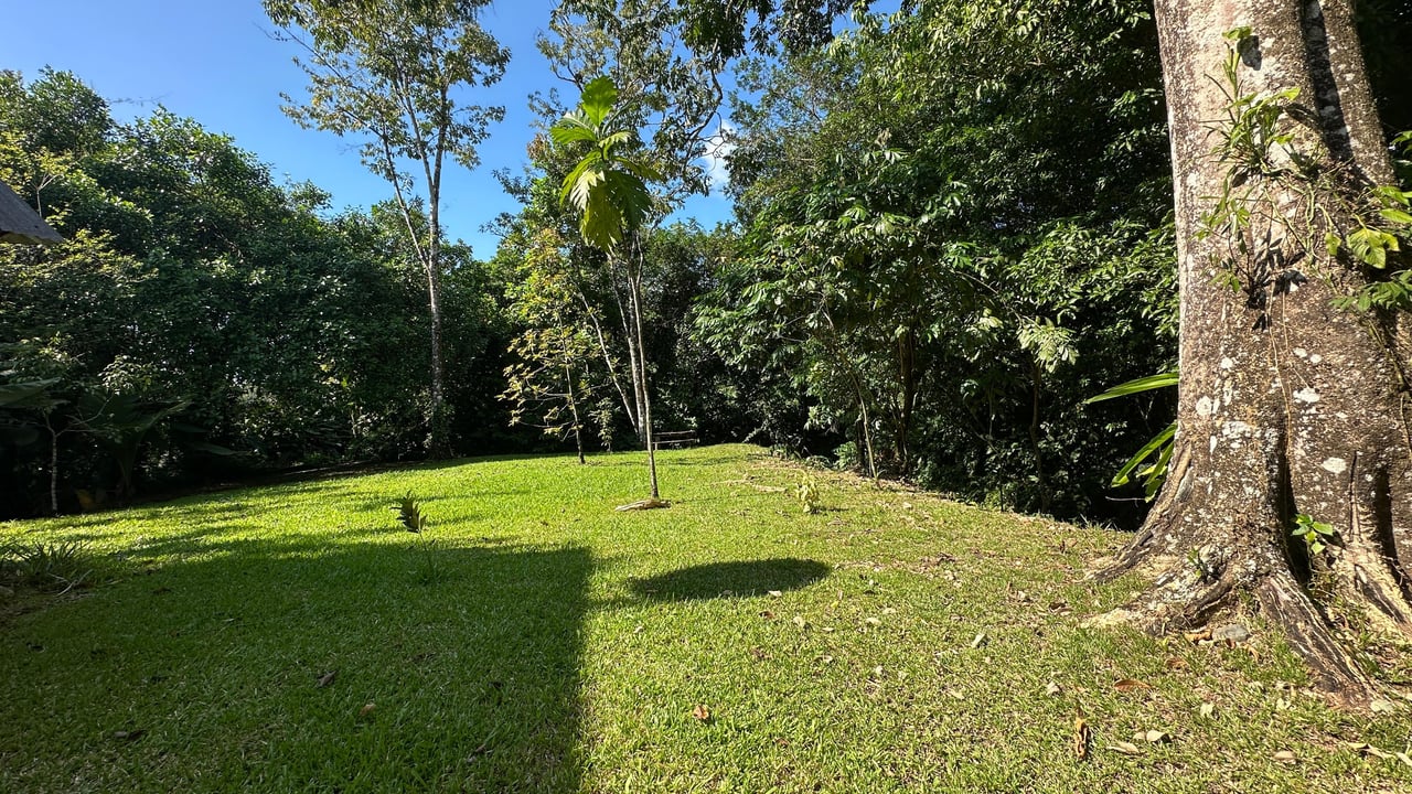 Breeze, Trees, and Monkeys - Your Affordable Costa Rican Haven