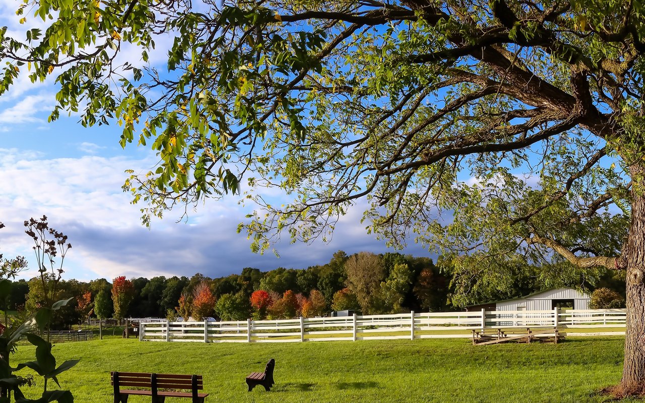 Farmington Hills
