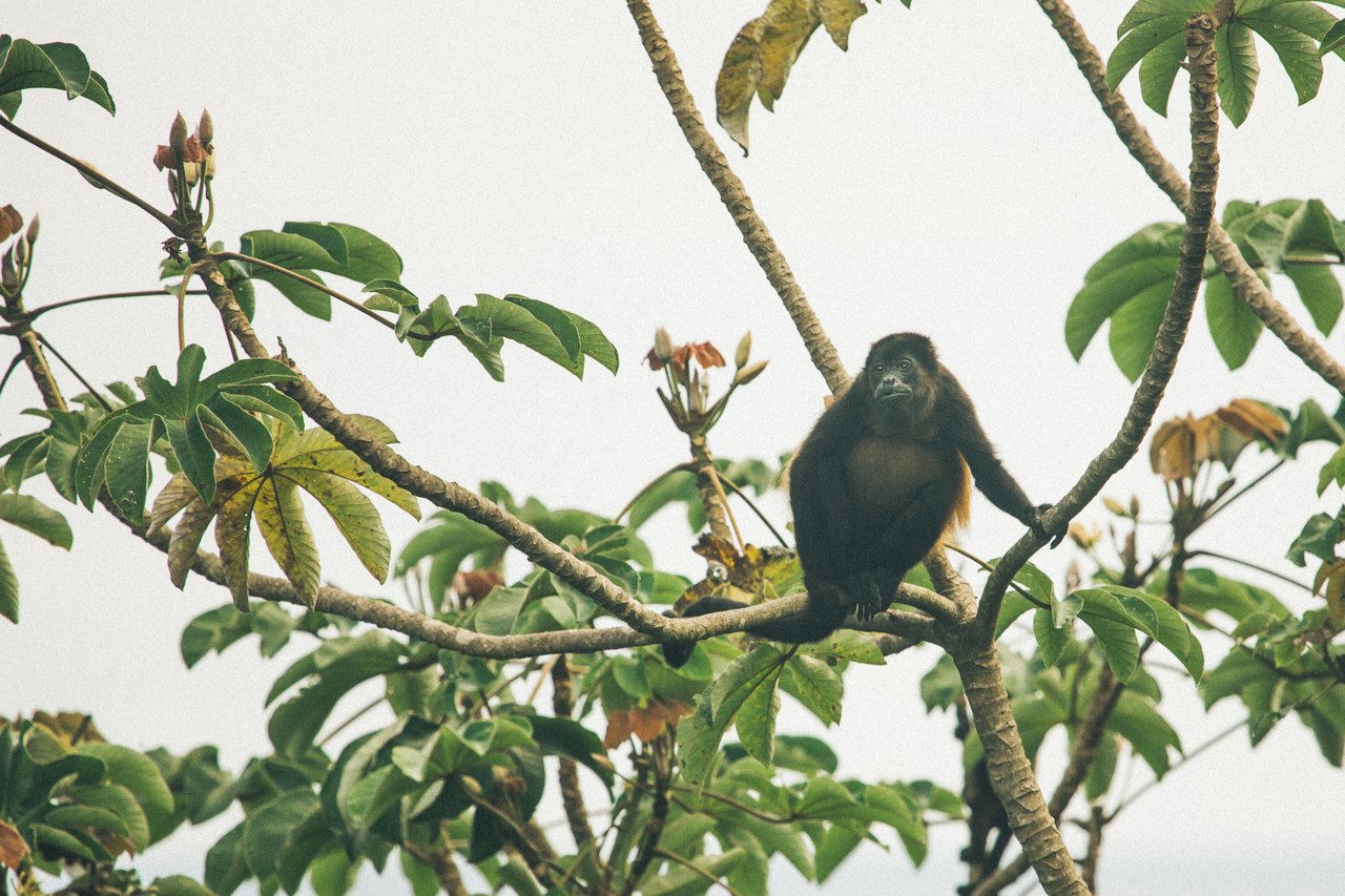  Punta Sabana & Mar Serena