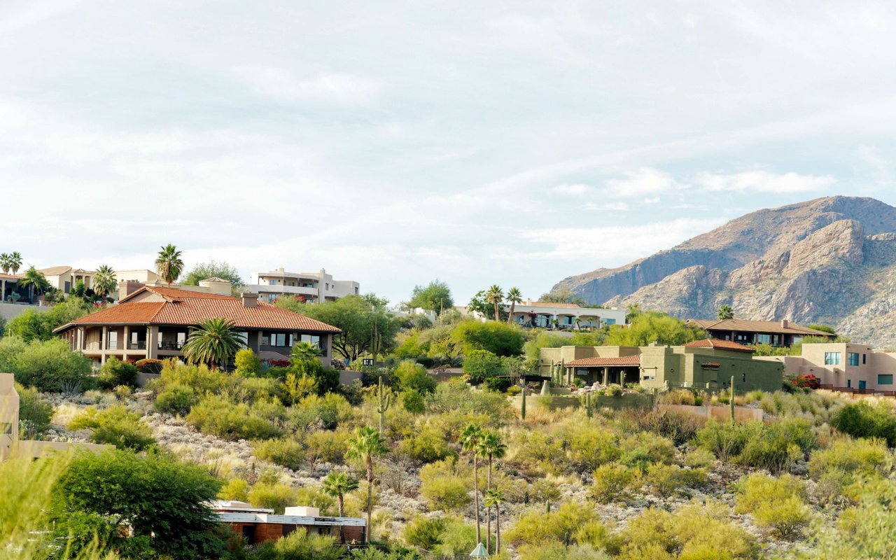 Silverleaf