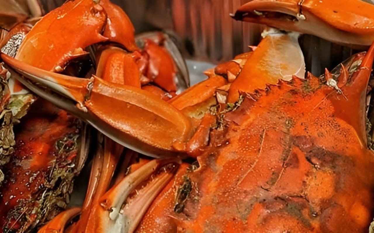 5 Best New Restaurants in West Palm Beach