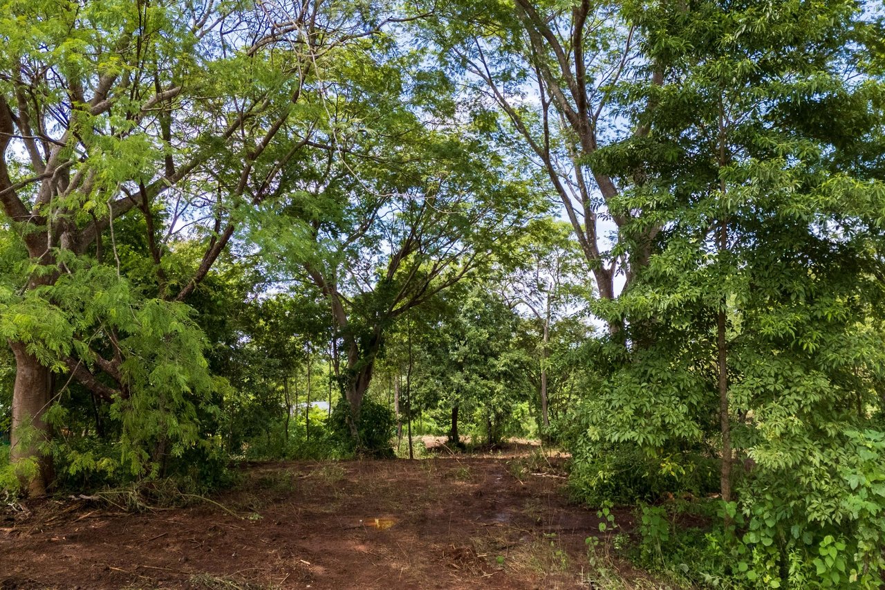 Lot Across Mar Vista , Playa Brasilito, Guanacaste