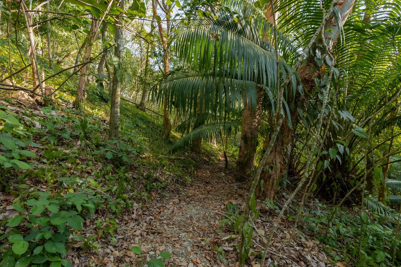 Exclusive Ocean View Development Homesite, Santa Teresa, Puntarenas