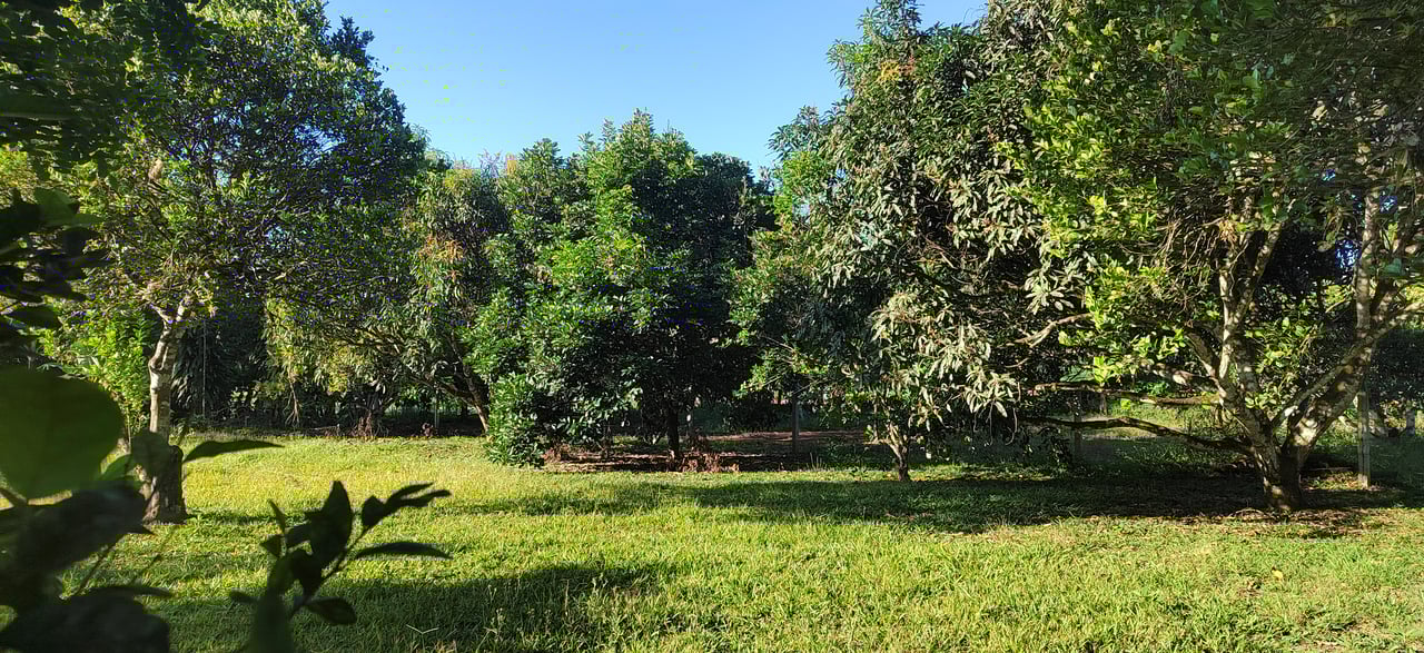 PRIME 1,100 M² LOT IN RESIDENCIAL LOS VIEJOS – FLAT, PRIVATE, AND READY TO BUILD