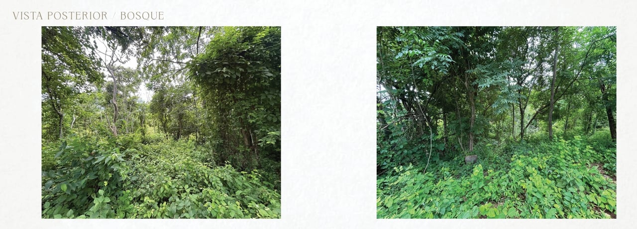 Laurel #27 | Luxury 5-Bedroom Villa in Reserva Conchal