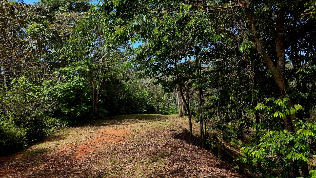 Beautiful mountain view land located in a quiet community in Ojochal. 