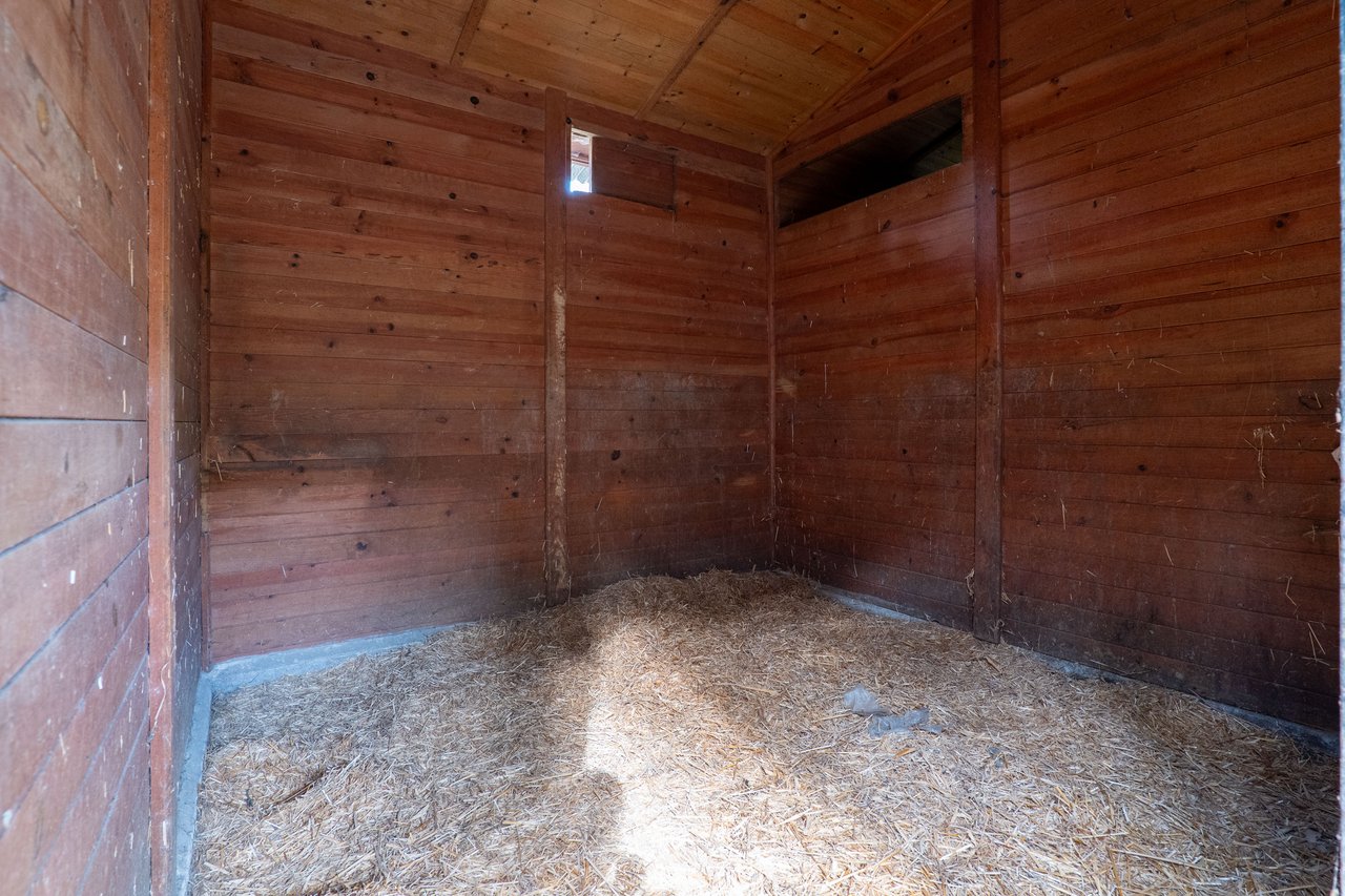 Equestrian Estate in Lavra with 13,000 m² just 800 Meters from the Beach