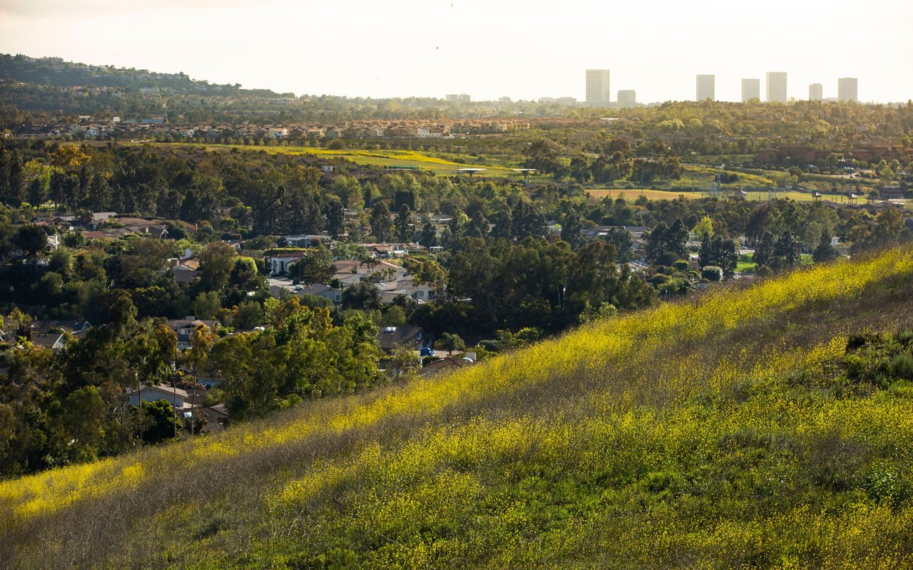 Turtle Ridge