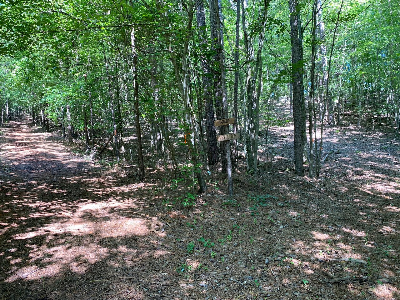 Heartland Springs Farm