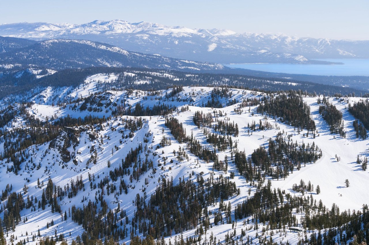 Alpine Meadows