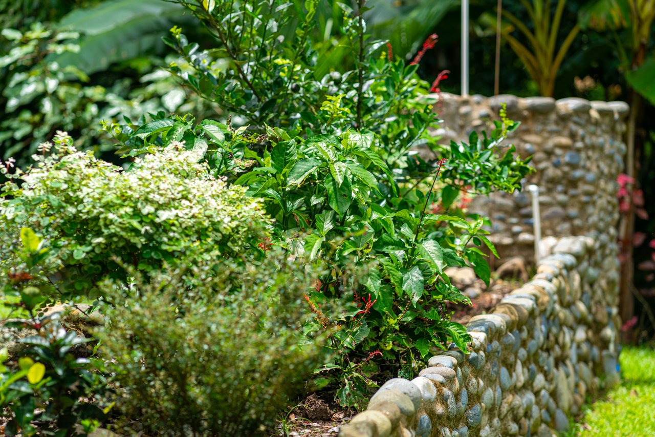 Conveniently Located Homestead in Gated Neighborhood w/ Paved Roads