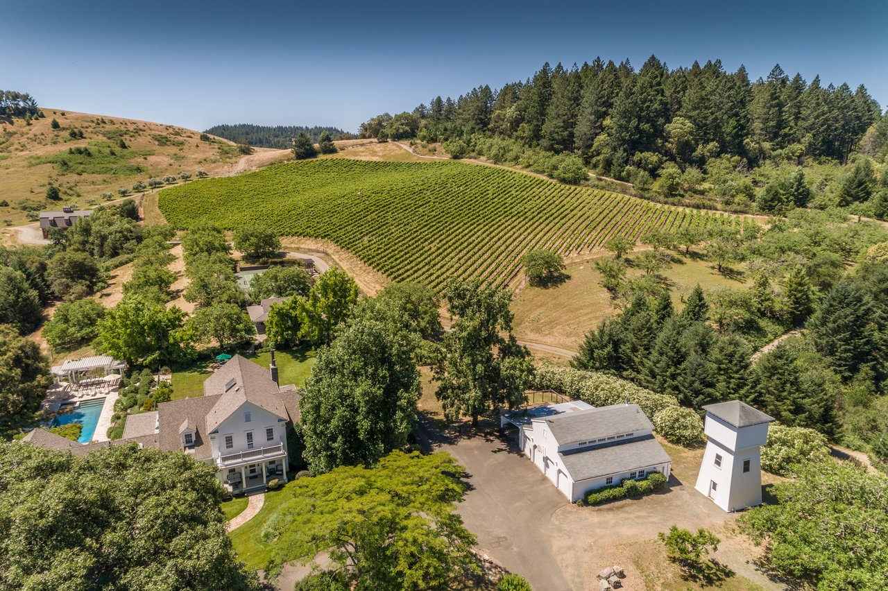 Sharp Road, Calistoga