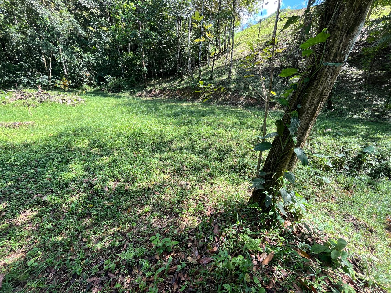 Tortuga Abajo Lot, Just before Ojochal.