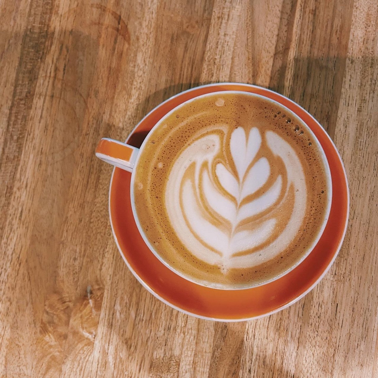 Sir Walter Coffee in Raleigh
