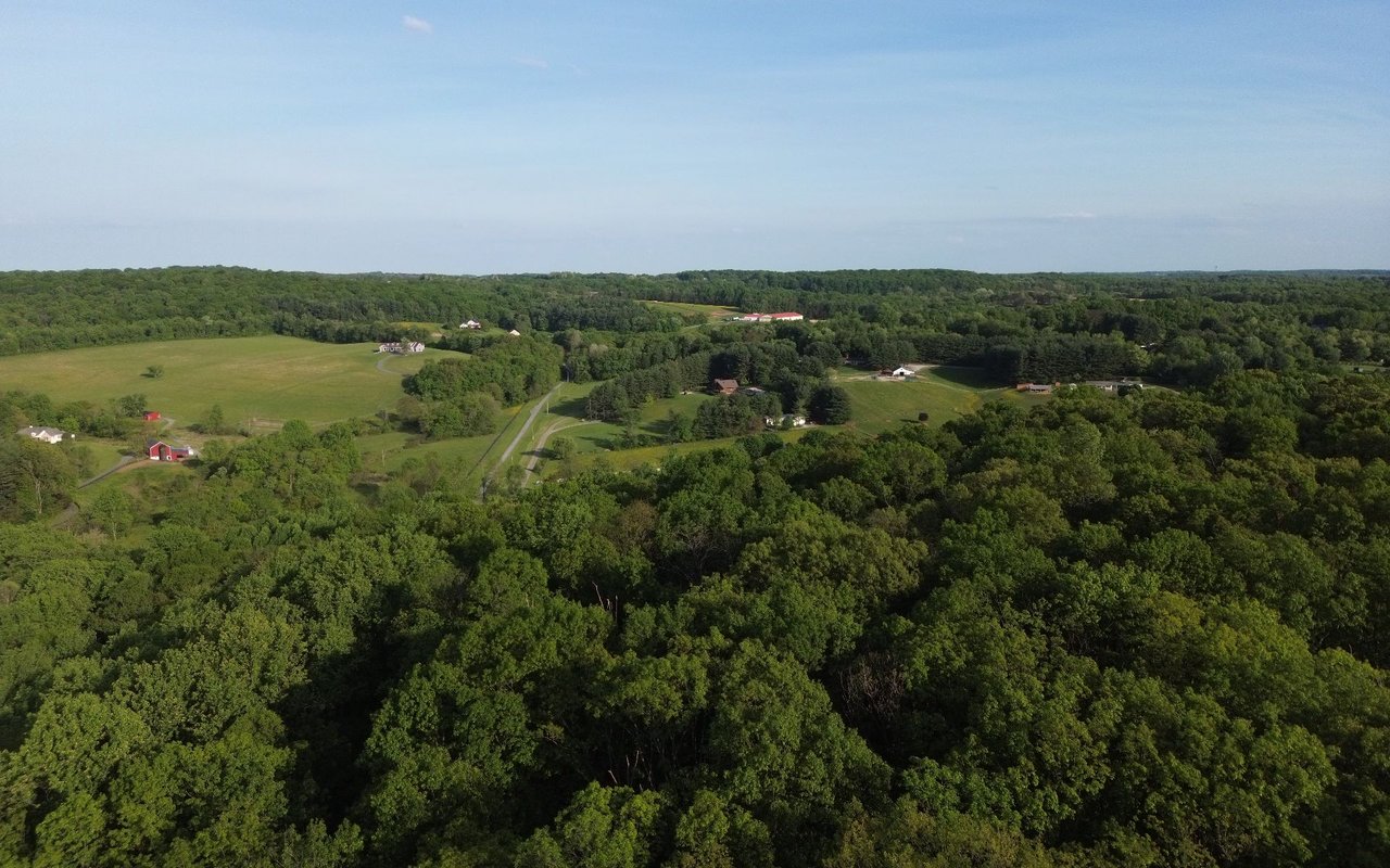 Mount Airy