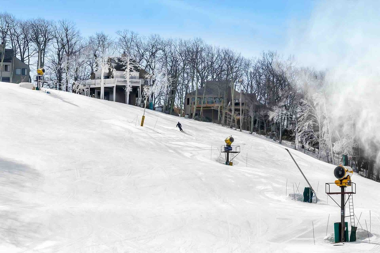 Wintergreen