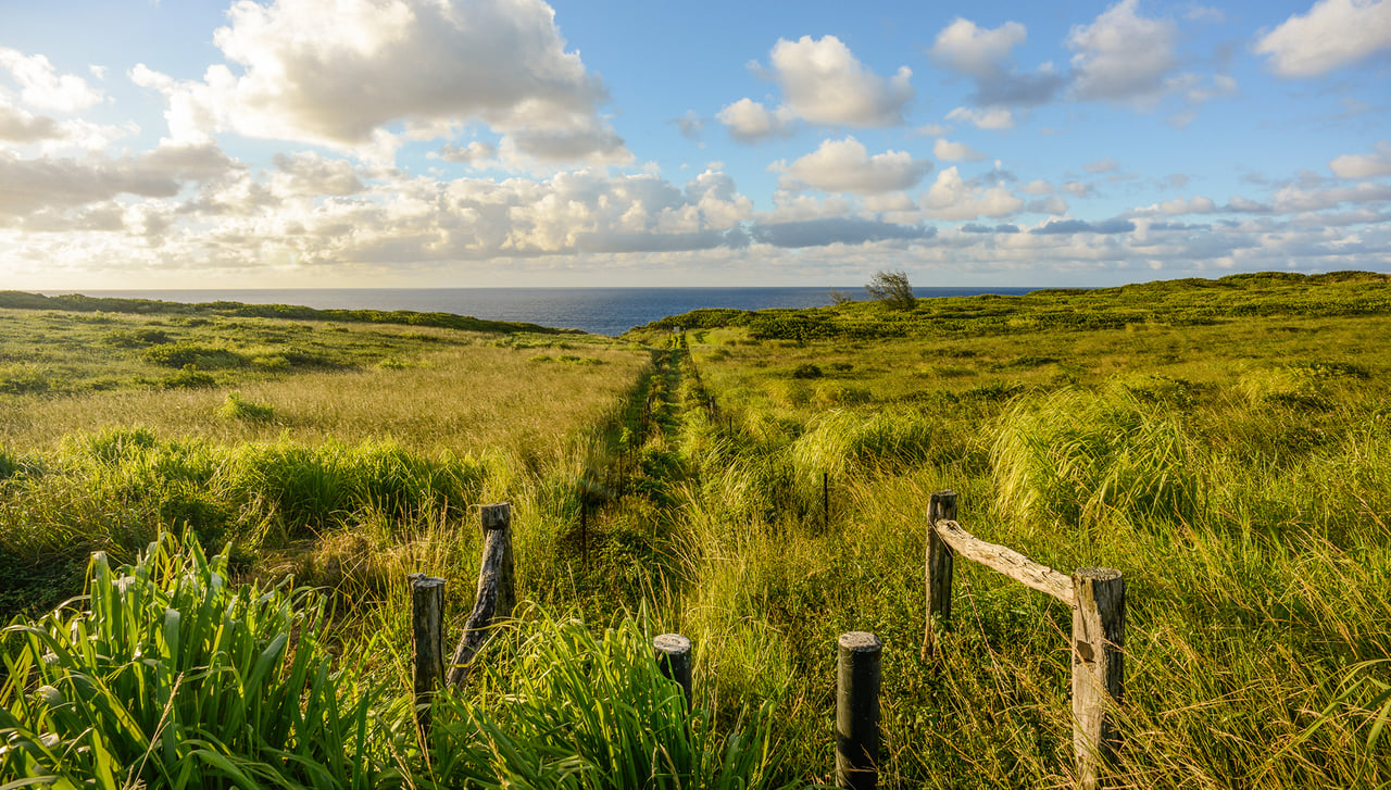 Coastal Hidden Gems to Discover Near Pe'ahi Farms, Maui 