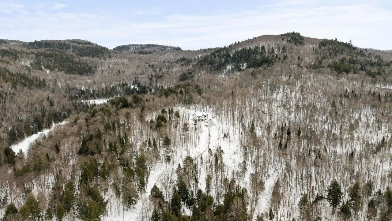Contemporary Retreat Between Sky and Forest