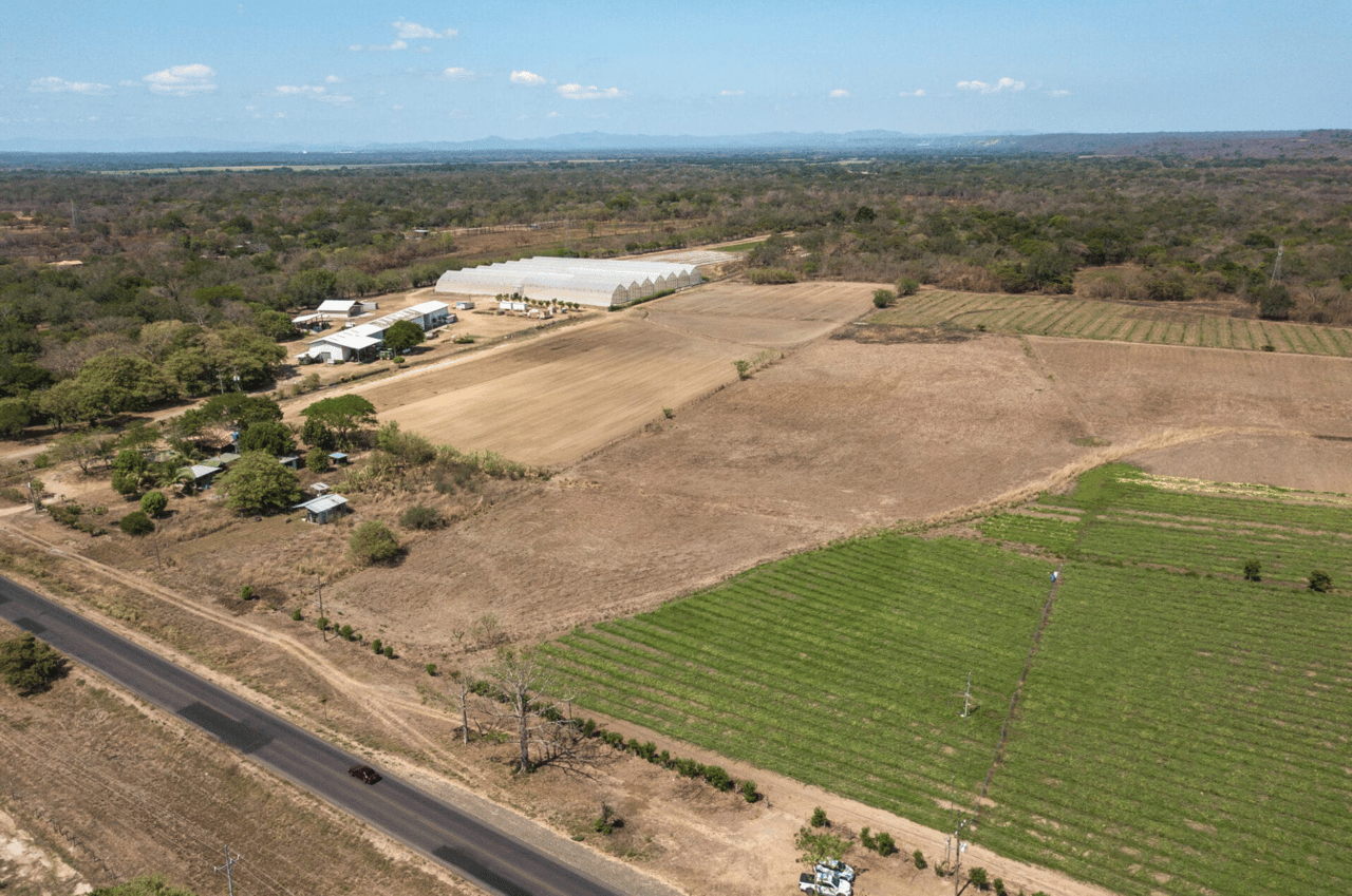 Liberia Canas Dulce 20 Acre Residential Or Commercial Development Opportunity! 