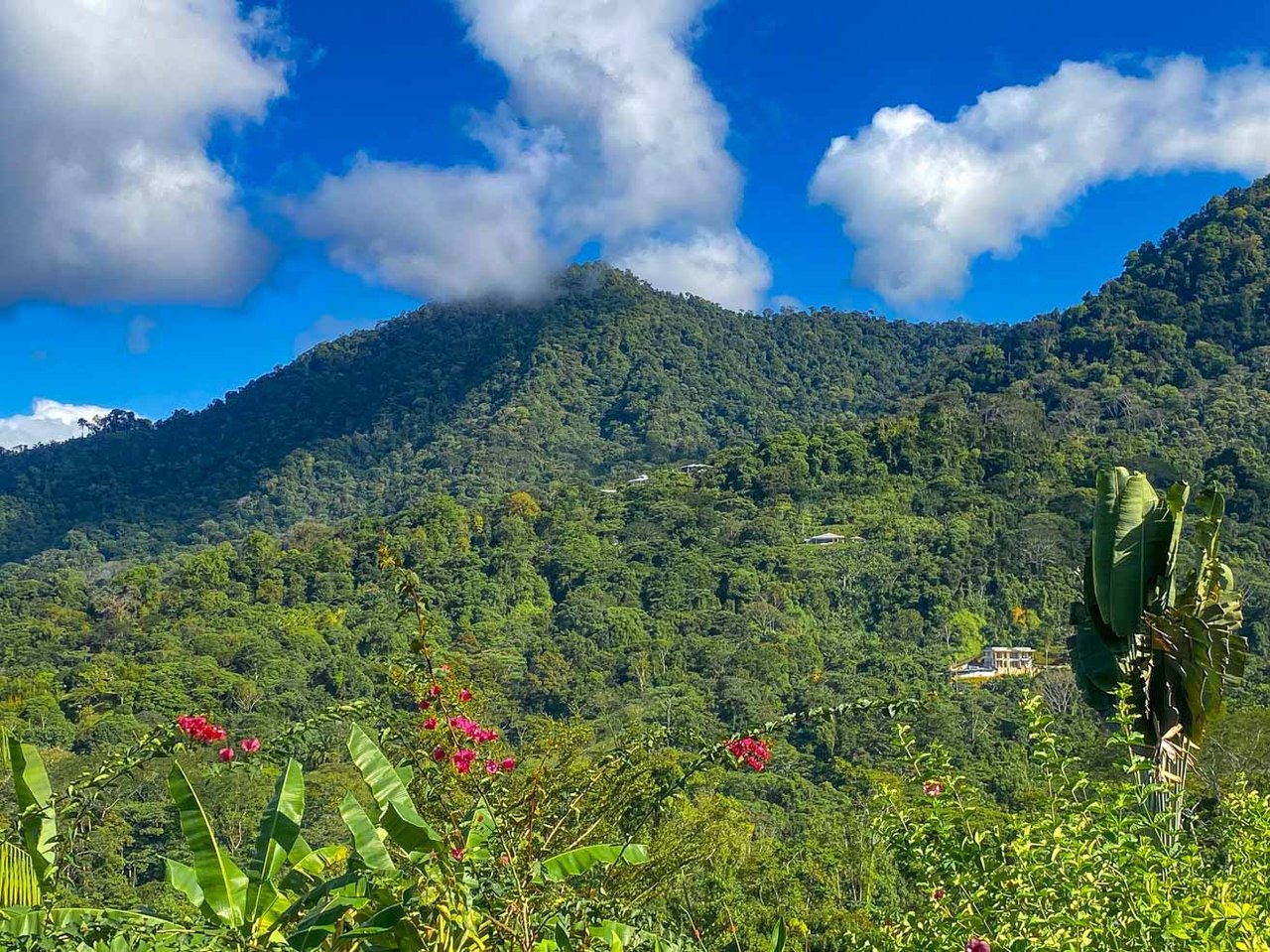 Ocean, Jungle & Mountain View Home in Ojochal | Protected Jungle Setting