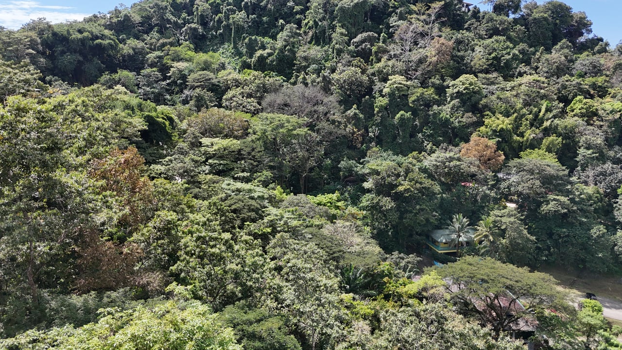 Luxury Gated Ocean-View Land Minutes from Manuel Antonio National Park and Marina