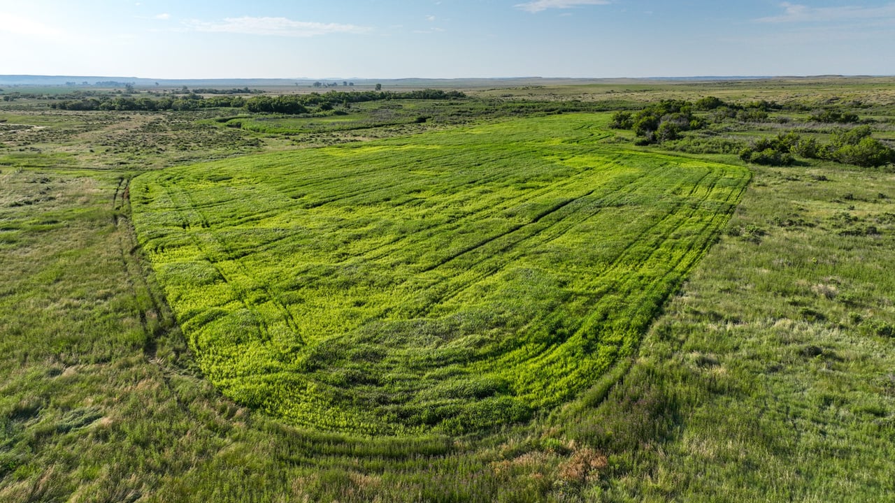 Covey Rise Ranch