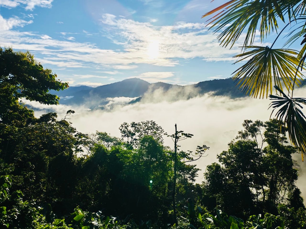 Off-Grid Mountain & River View Estate — 4.94 Acres | Sea Views | San Cristóbal de Aguirre