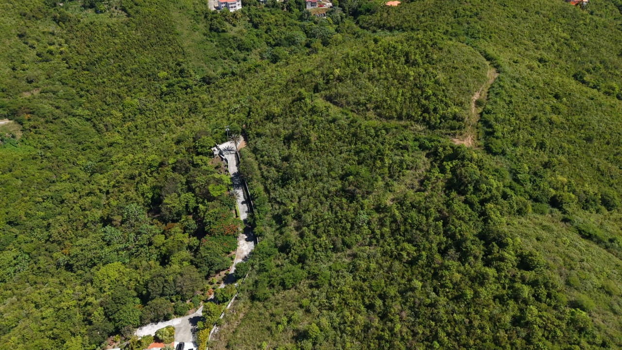 1070 Premium Lot in Fahie Hill