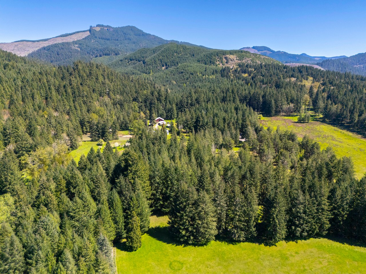 MOSBY CREEK FARM & FOREST
