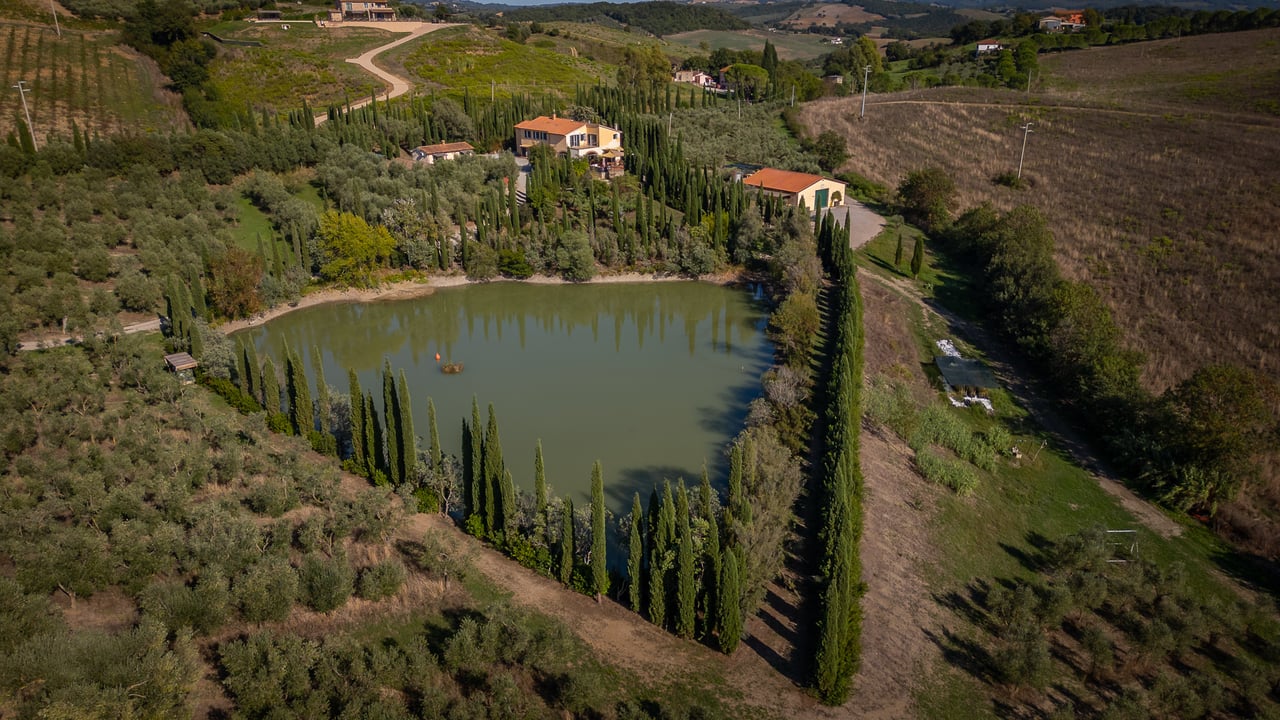 IL LEONE DEL FIORA